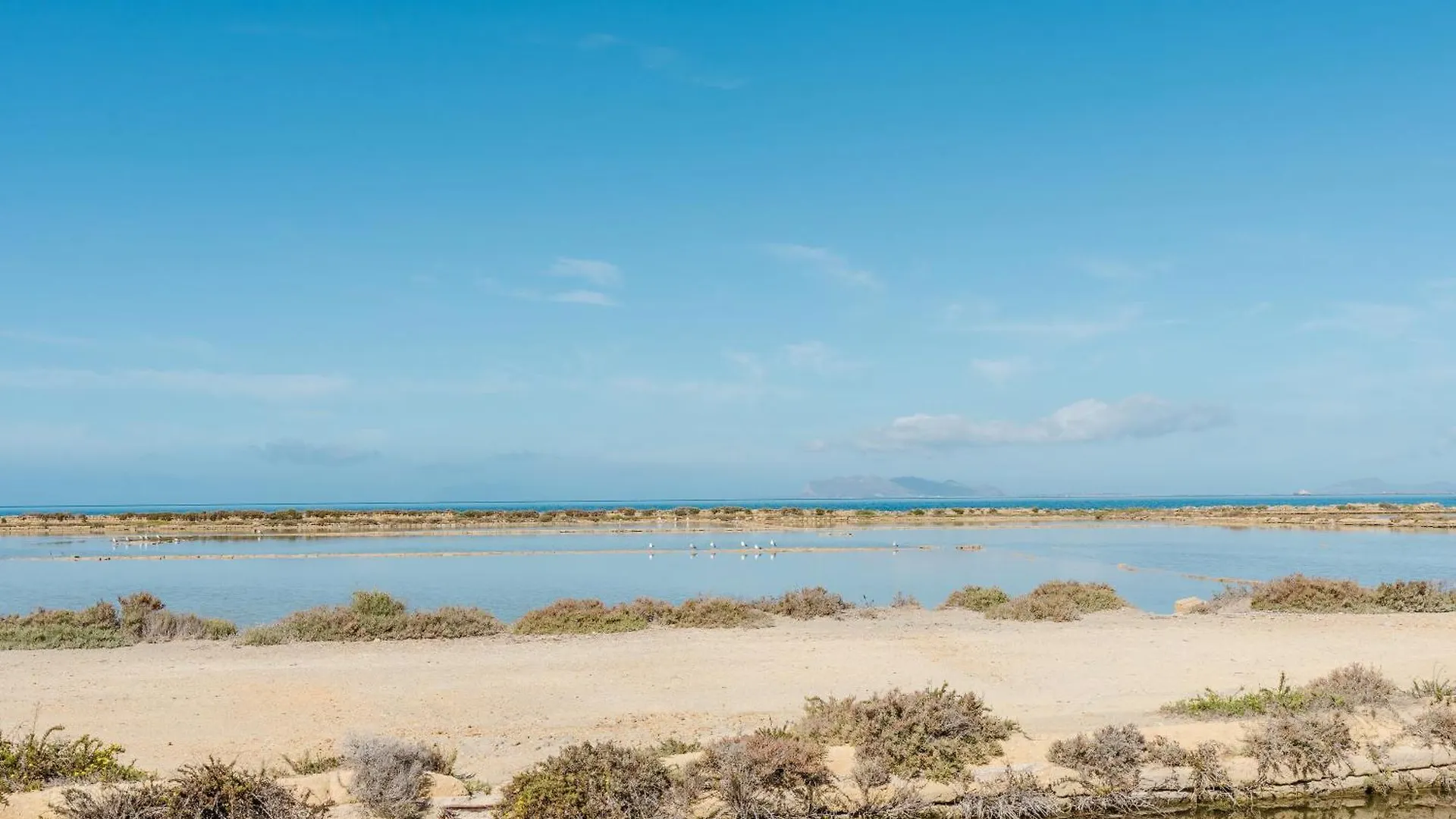 Appartamento Marsalasuitesawfarm Marsala